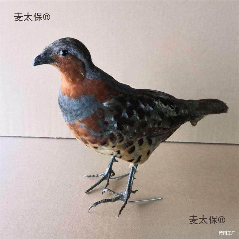 竹鸡竹鸡园林模型媒假竹鸡竹鸡羽毛毛竹户外竹鸡新款假室外麦太保