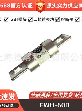 FWH-60BFWH-150B快速熔断器保险丝电子元器件量大价优