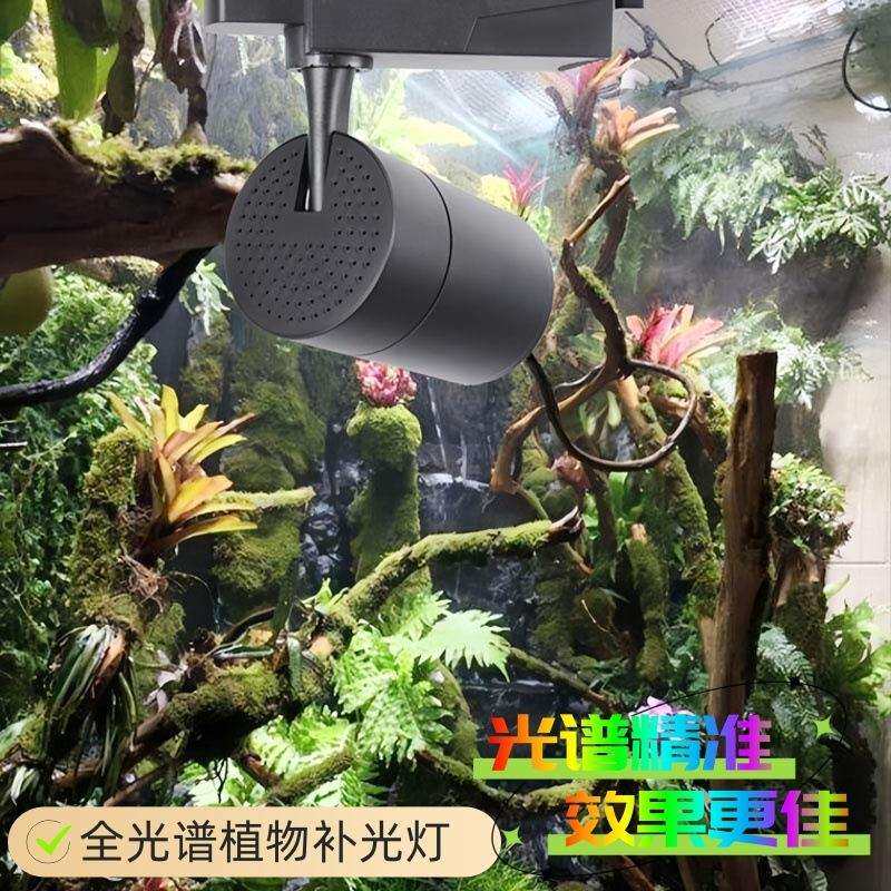 led全光谱植物多肉生长灯雨林缸造景灯水陆水草苔藓轨道补光射灯