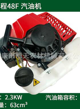 IE48F/63CC二冲程汽油机发动机地钻挖坑机微耕机船外机卡丁车动力