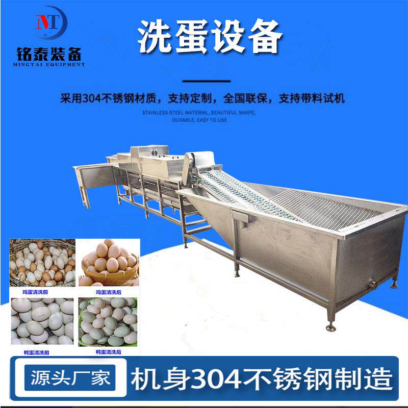 泥蛋清洗风干消毒喷油设备铭泰鸡蛋清洗机咸鸭蛋去污流水线