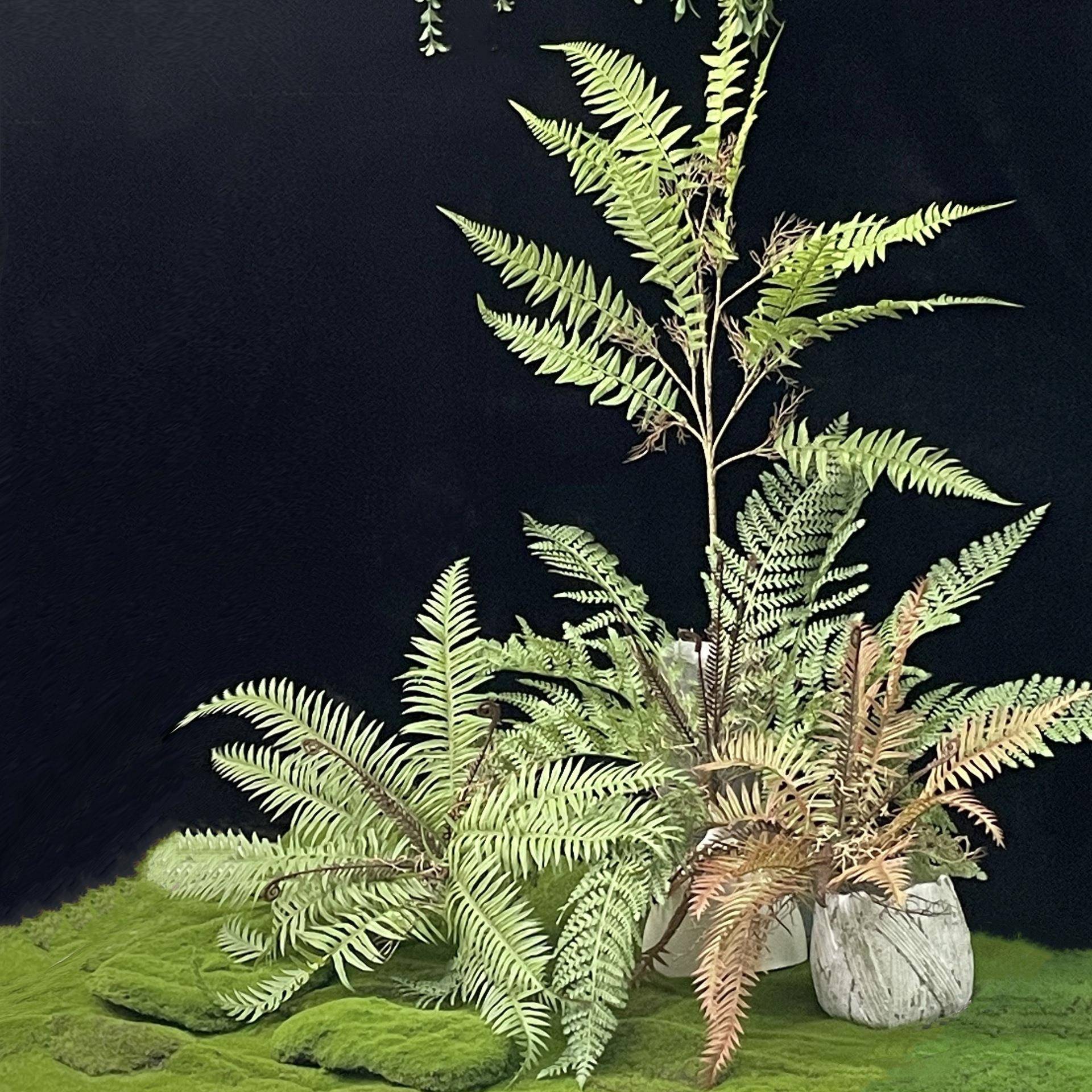 仿真蕨类植物装饰盆栽波斯蕨草高级家居花艺软装插花