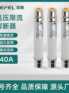 高压熔断器XRNT-12/10A16A25A40A喷射式熔体高压柜配件耐高温