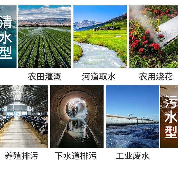 不井锈钢潜水泵220v家水抽511小型抽用水机高扬程农用排污污水泵