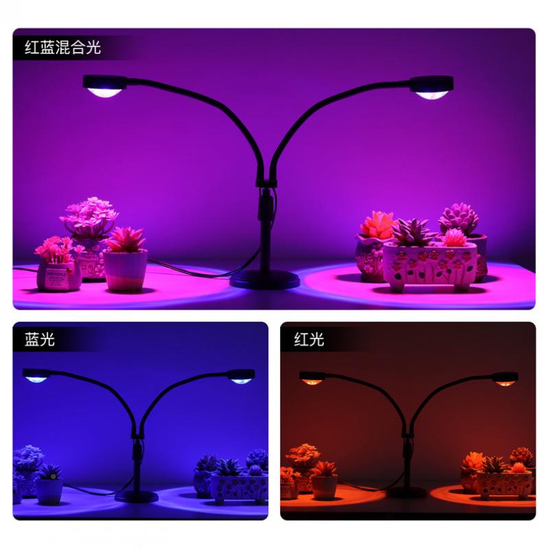 上植物生长灯家用APM色红蓝光le光d多肉补灯办公室桌面绿植台日照