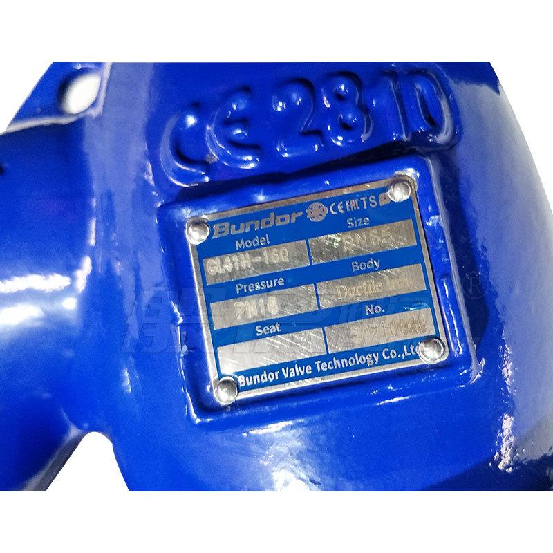 Y型铸过滤器GL41H-1GL41H-166Q全通径球磨4铁滤材质网30法兰连接