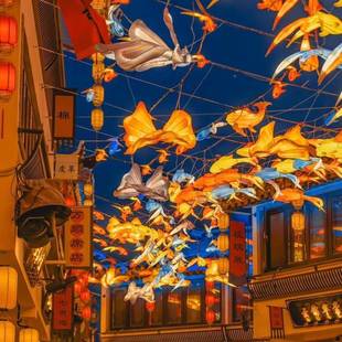 金鱼花灯大鱼灯棠豫园海鱼灯笼红鱼网灯笼户外RID防水彩古镇街道