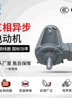 YE3-50M-6极三相异步卧电机立/式铸铁电动机7KW9825rNJU/3min马达