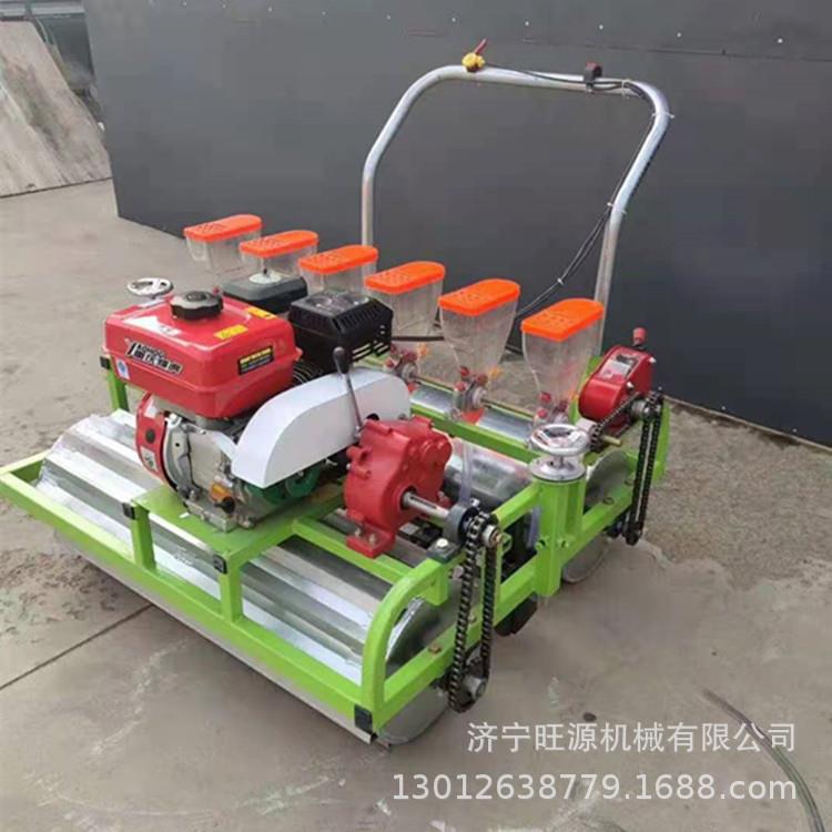 香菜DYN胡萝卜白菜自播机播走种式汽油种机手推式人力播种机