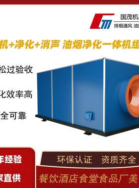 厂家直供油烟净化一体机厨房酒店餐饮商用食堂油烟净化器效率高