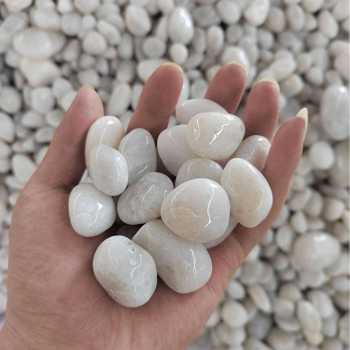 5石斤天556然鹅卵石铺地造景雨花色石黄红色0白色黑色大小鹅软石