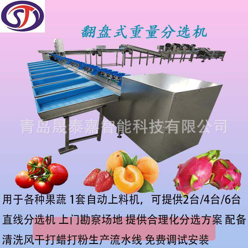 果冻橙分机沙桔全糖自动分百级机选杨梅香果挑选分ZKI等级机设备,鲜花速递/花卉仿真/绿植园艺,其它园艺用品,淘宝优惠券,粉丝福利购,淘宝优惠卷