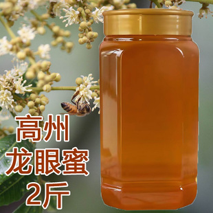 广东高州本地龙眼蜜新蜂蜜龙眼花蜜蜂野外摇蜜蜂糖土蜂蜜瓶装
