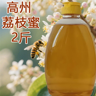 正宗纯蜂蜜高州荔枝蜂蜜野生土蜂蜜农家自产正品春天成熟无添加