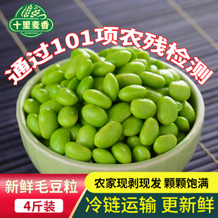 毛豆仁新鲜现摘农家速冻大粒毛豆粒蔬菜冷冻嫩毛豆米生青豆粒商用