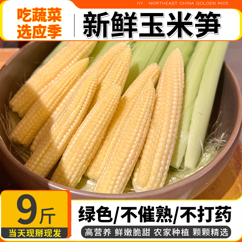 现摘现发新鲜玉米笋带皮应季蔬菜图片