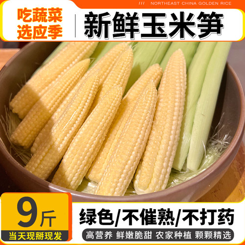 现摘现发新鲜玉米笋带皮应季蔬菜