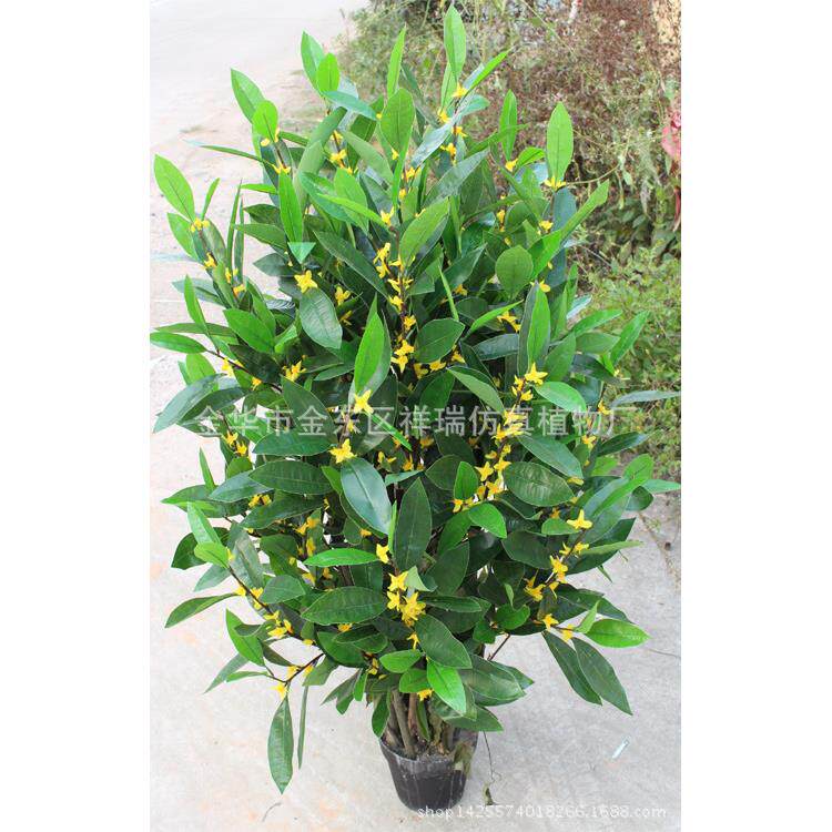 仿真植物盆栽1.2米夜来香花假树叶绢花桌摆背景拍摄装饰