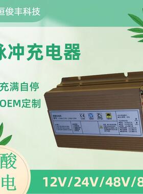 铅酸电池叉车电摩充电器24V10A12V15A12V10A48V5A48V3A原厂