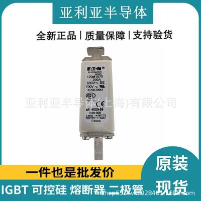 170M1570170M1571170M1572圆柱形低压熔断器直流熔芯原厂原标