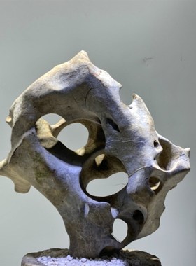 天然奇石太湖石原石摆件鱼缸造景假山景观石盆景附石观赏石灵璧石