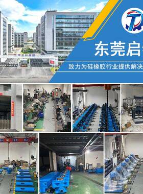 异型圈硫化机硅橡台胶制品模压机密大面杂件成型机封YX-LG200厂家