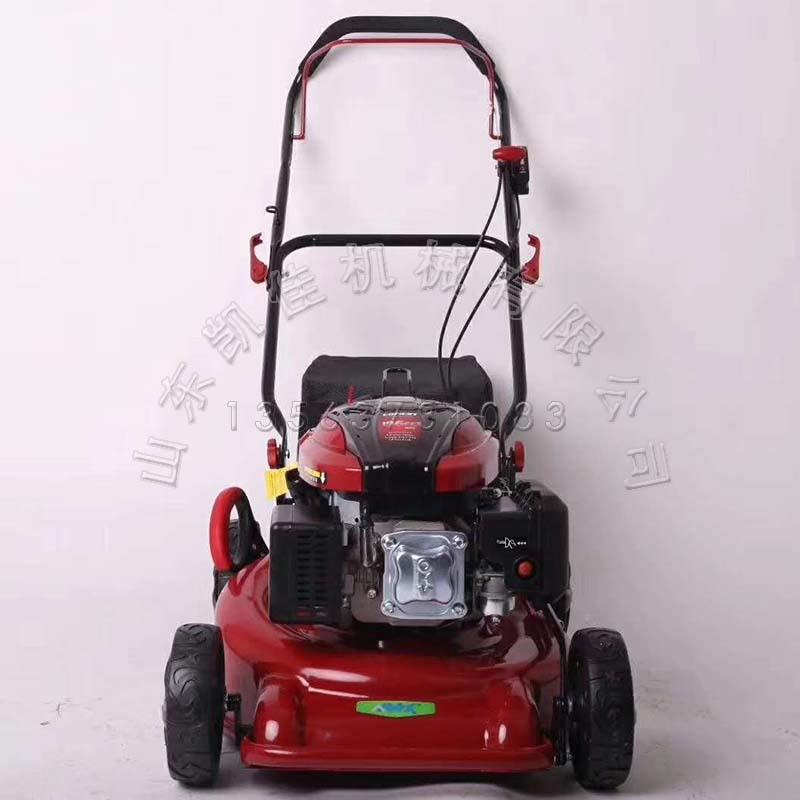 草20寸草坪修剪机手推式草坪修剪机油汽剪草机k-20小型推草机剪机