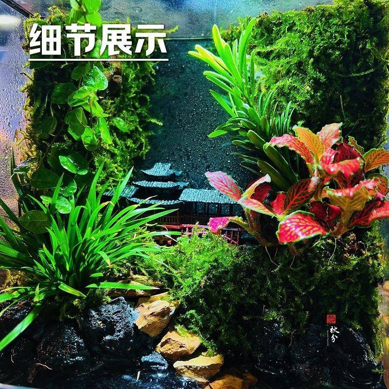20件2年新款意造景雨林缸生态5SMA流水养鱼微景观桌面摆鱼缸小型