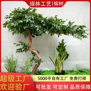 直销仿真黄桷树榕树仿真真木杆榕树园林景观异型假树室内装饰