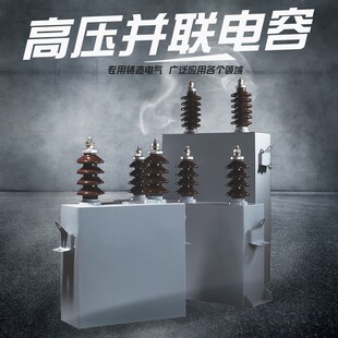 BFM11 BFF 10.5 1W3W功率全 威斯康高压并联电容器BAM 300 BWF