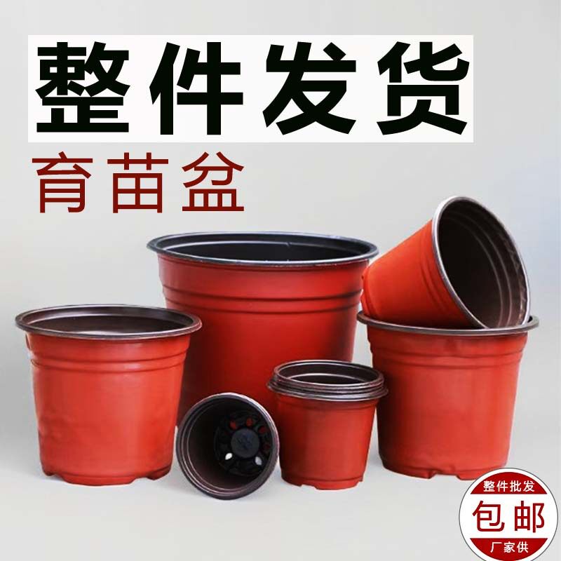双色育苗花盆塑料多肉育苗盆大口径大号基地育苗小花盆厂家批发