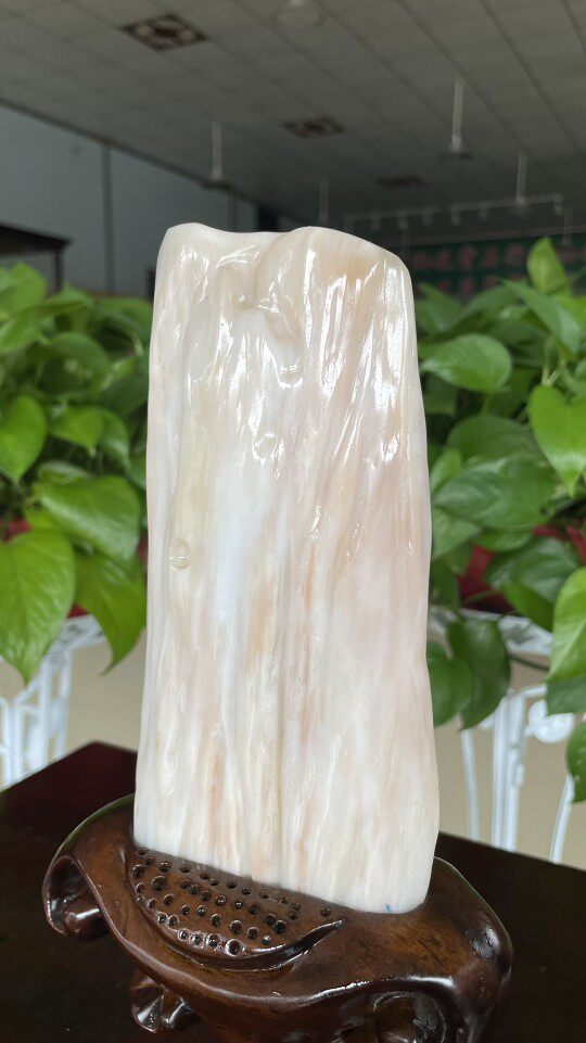 木化玉树化石奇石冰种树化玉原石桌面装饰木化石石大摆件