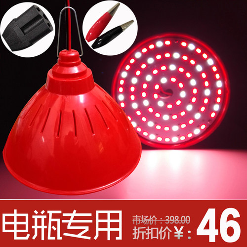 12V LED低压生鲜水果猪肉灯 48v夜市摆地摊灯60V led熟食电瓶灯