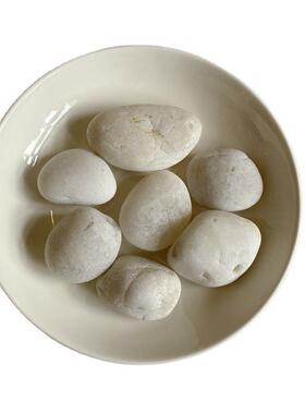 广州酸园洗白色级鹅卵石A林EFP工铺程面用造景石