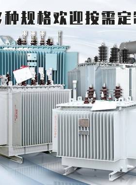 S11油浸式变压器高压三5相S13-20ZDXDLHH00-20-315-630KV电力压器
