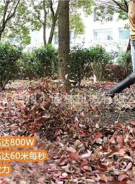 58V手提式吹风机TPBL605大功充电式业无58VTPBL线吹叶率机鼓风工5