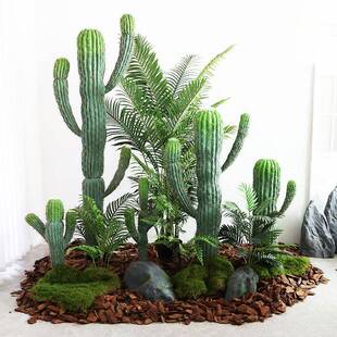 仿真仙人掌橱窗造景植沙物绿大型号摆假仙人柱漠景观店铺装饰仿真