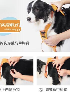 狗狗牵引绳胸背一体可kDc4irAY伸缩绳式遛狗中型大背型犬宠物心背