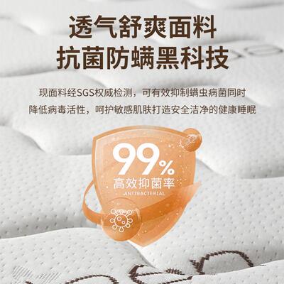床垫天然椰棕加1护脊米护腰儿童棕榈垫10cm5IPT家用出租房硬乳胶
