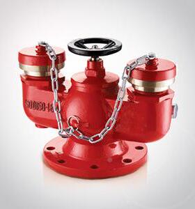 多功能式水水器泵接合器SQD10壁JCF0地上式泵接合墙式水泵接合器