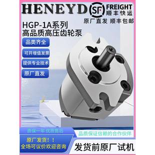 F2R F3R F4R 高压齿轮泵HGP F6R F1R F5R F8R液压泵头油泵新鸿