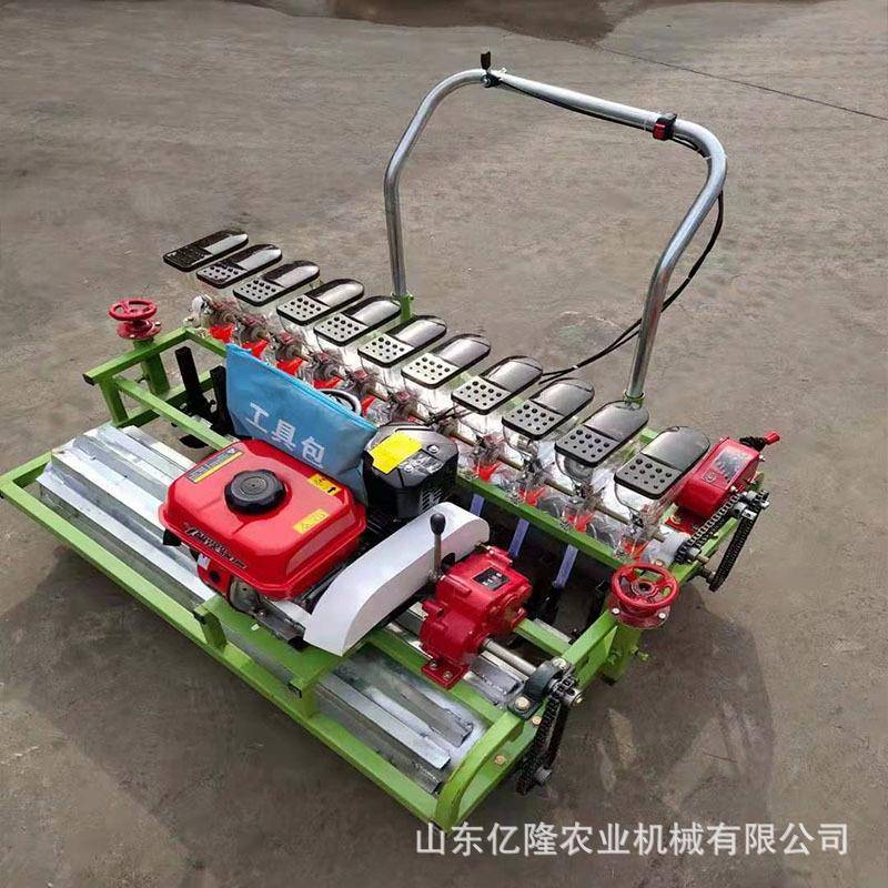 白菜胡萝卜生点机苋菜茴香芹菜播精播机菜大葱洋育VPD葱苗播种机