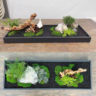 铁艺造景花盆长方形桌面景观绿植苔藓托盘花器室内装饰不锈钢花槽