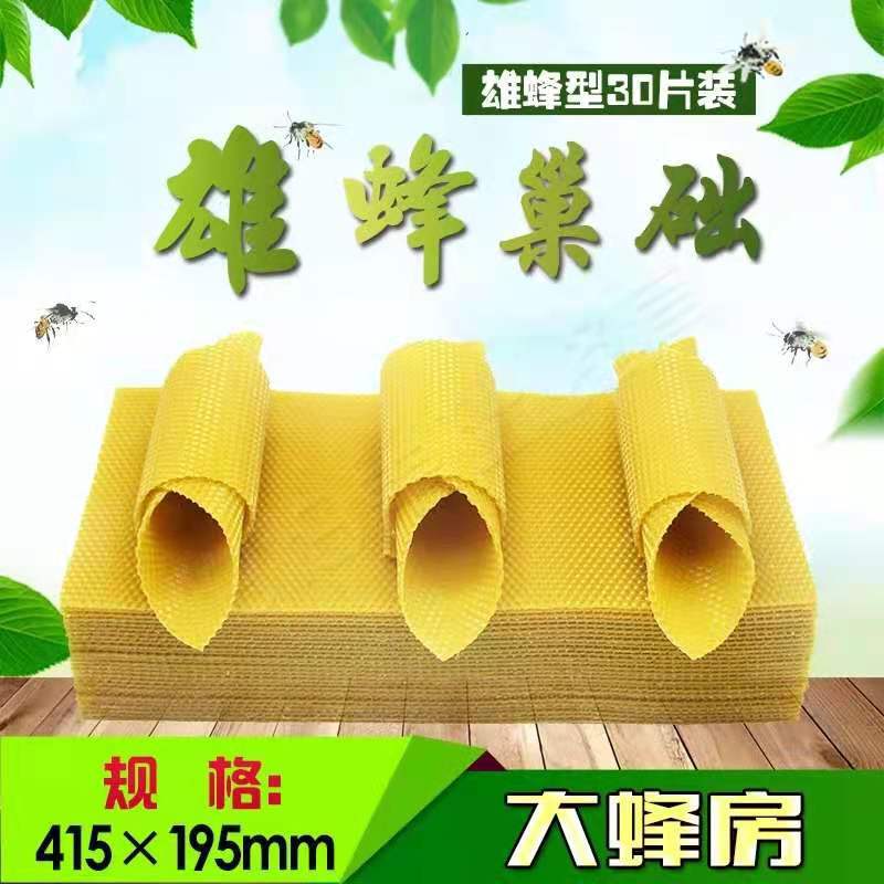 雄蜂巢础6.4MM房眼3片 蜜蜂蜂巢蜡脾一包30片