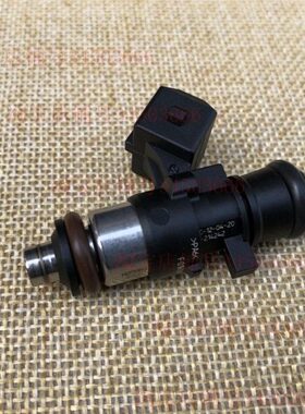 大阳电喷踏板48QT-2D/-2M/DY125T-16M/17M/27M/26M/28M喷油器单元