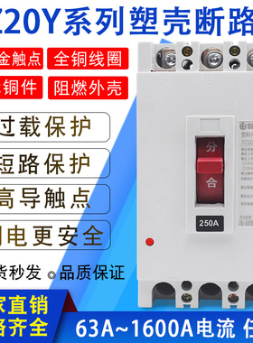 DZ20Y-160C225A250J400A630A塑壳断路器空气开关三相380V电机保护