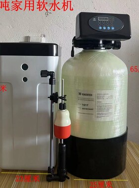 DIY润新阀全自动家用软水机活性炭净水机KDF全屋净水机去除水硷