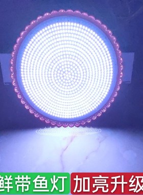2021LED生鲜海鲜灯白光150瓦偏蓝带鱼海鲜市场冻货加亮款E27螺口