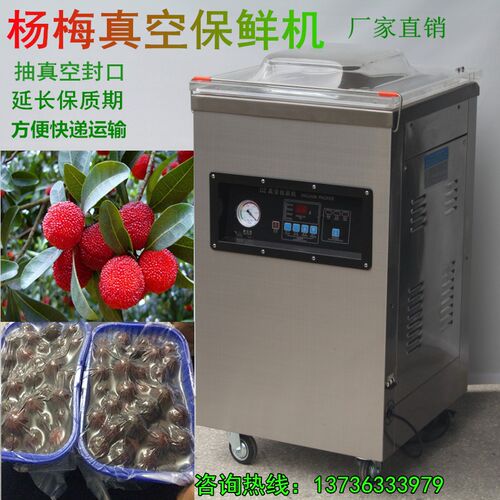 400型号 电脑版真空杨梅包装机 杨梅机杨梅真空机,杨梅包装机