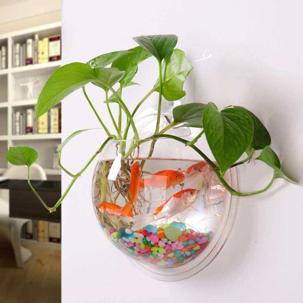 华秋亚克力壁挂式水养绿萝花盆透明装饰贴墙半圆型器皿创意家居